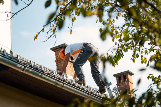 Roof Gutter Cleaning in Boalsburg, PA
